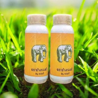 การเกษตรชนิดน้ำ