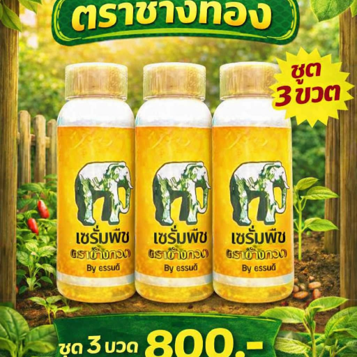 การเกษตรชนิดน้ำ